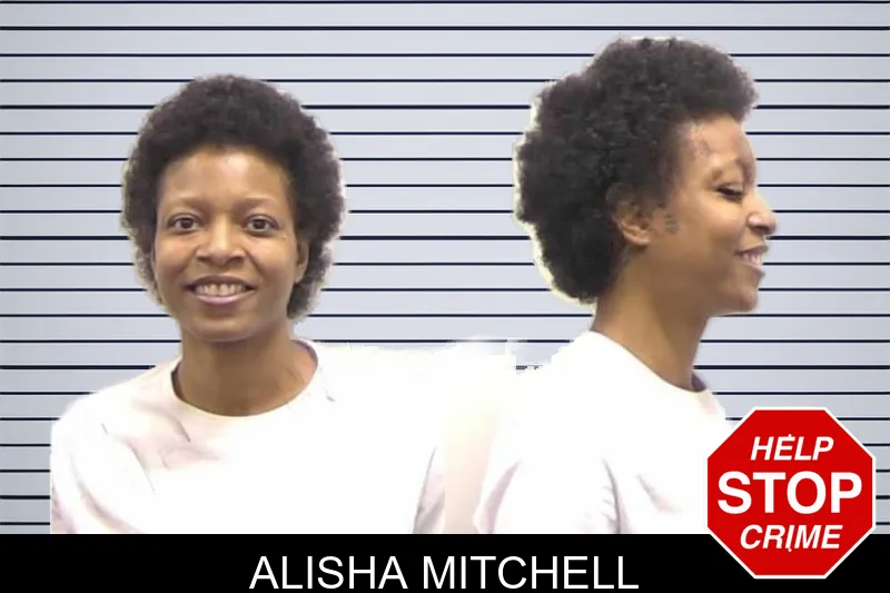 Alisha Mitchell mugshot
