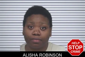 Alisha Robinson mugshot