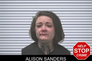 Alison Sanders mugshot