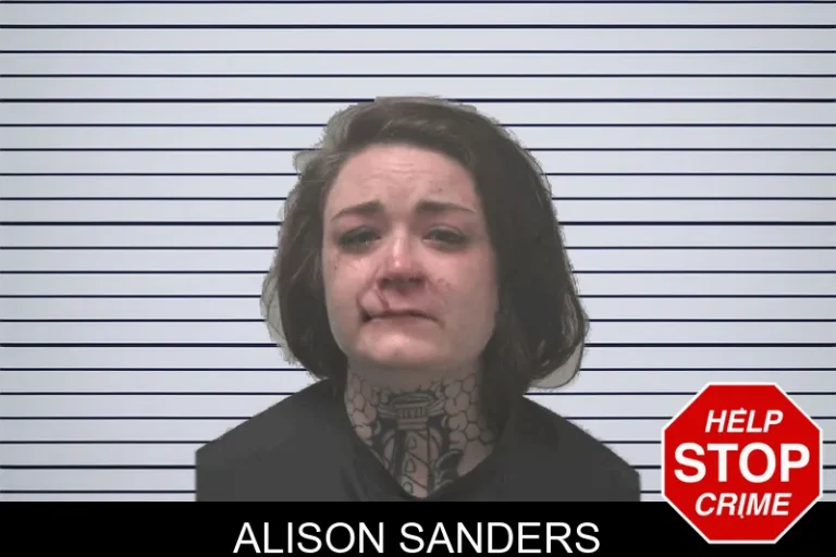 Alison Sanders mugshot – Coweta County , Georgia Alison Sanders