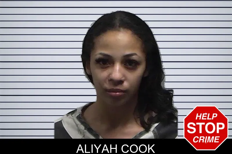 Aliyah Cook mugshot