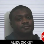 Aliza Dickey mugshot