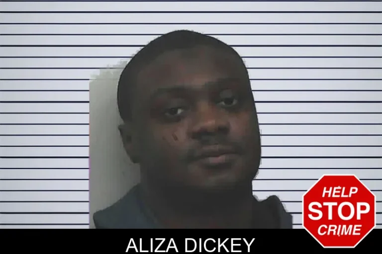 Aliza Dickey mugshot – Lanier County , Georgia Aliza Dickey