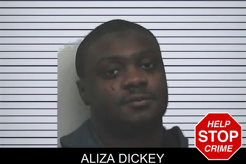Aliza Dickey mugshot