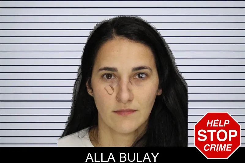 Alla Bulay mugshot
