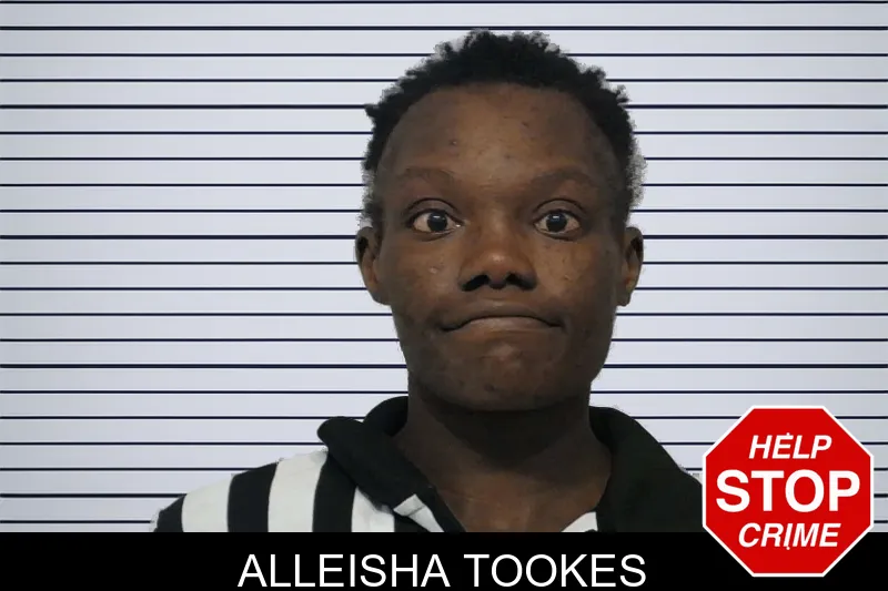 Alleisha Tookes mugshot
