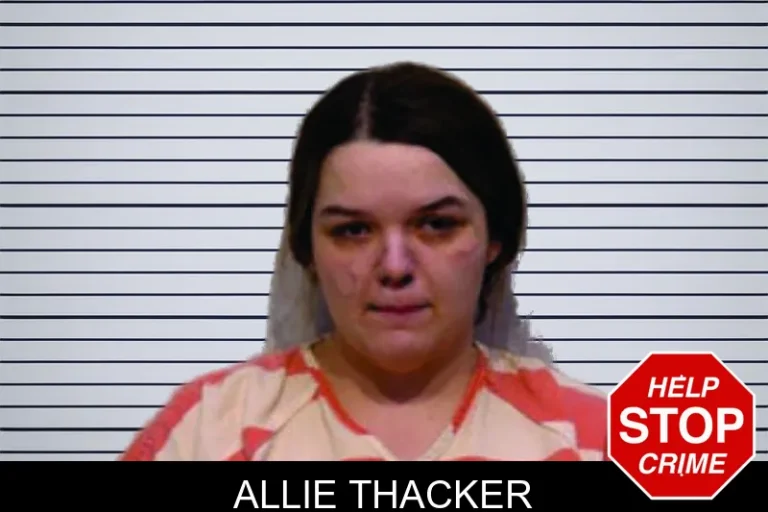 Allie Thacker