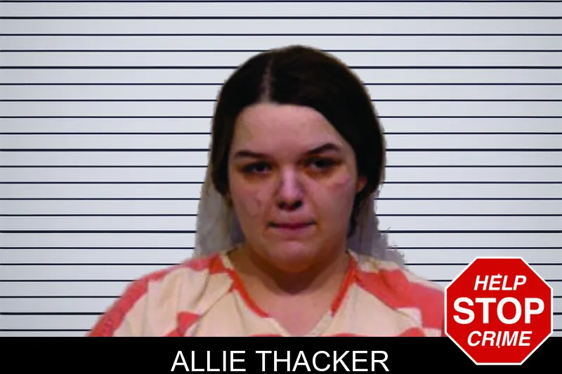 Allie Thacker mugshot