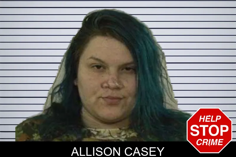 Allison Casey mugshot – Liberty County , Georgia Allison Casey mugshot