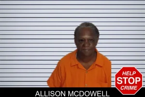 Allison McDowell mugshot