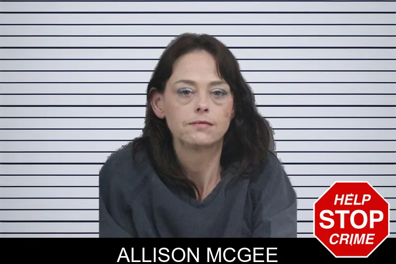 Allison McGee mugshot