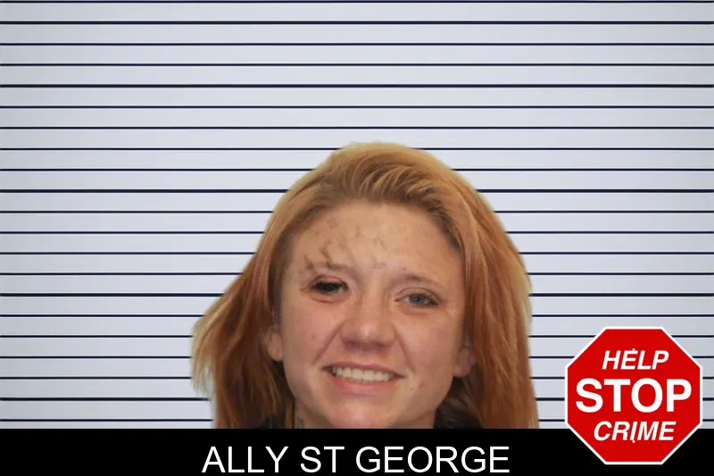Ally St George mugshot