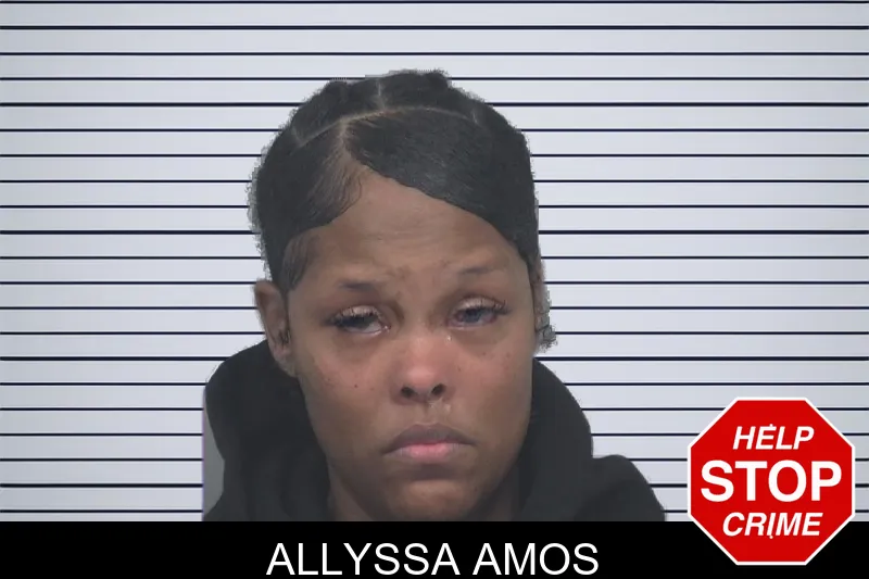 Allyssa Amos mugshot