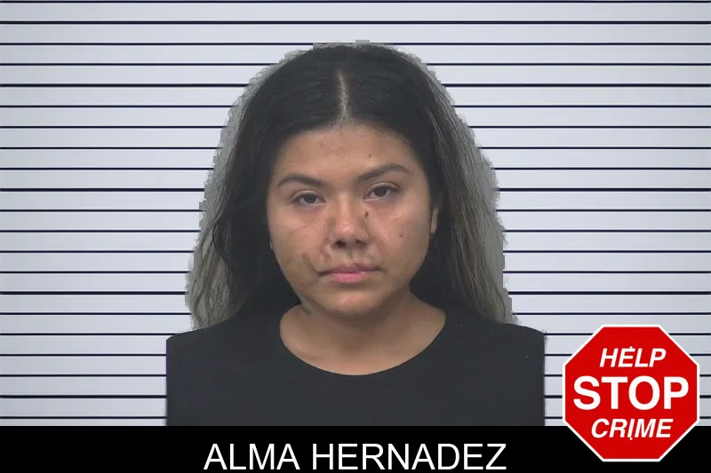 Alma Hernadez mugshot – Gwinnett County , Georgia Alma Hernadez mugshot
