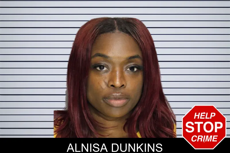 Alnisa Dunkins mugshot – Cobb County , Georgia Alnisa Dunkins mugshot