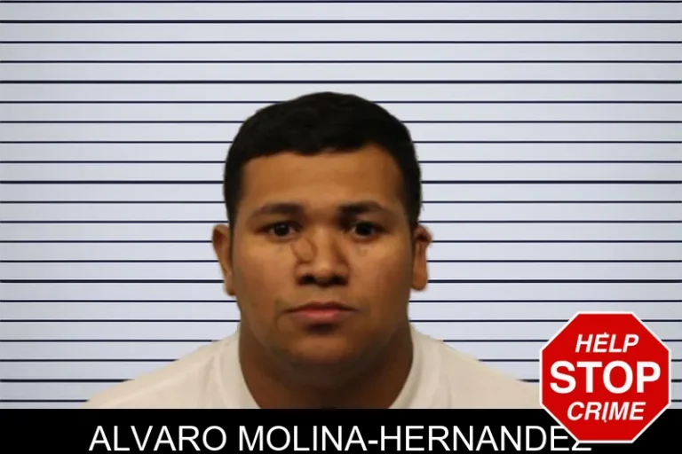 Alvaro Molina-Hernandez mugshot – Chatham County , Georgia Alvaro Molina-Hernandez