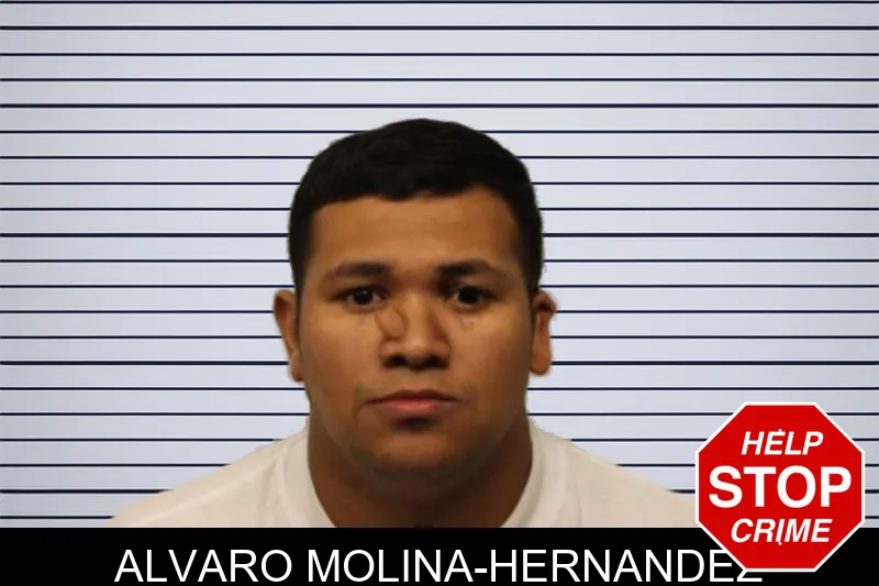Alvaro Molina-Hernandez mugshot – Chatham County , Georgia Alvaro Molina-Hernandez mugshot