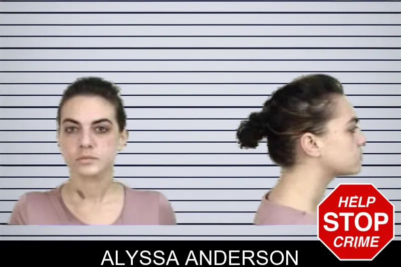 Alyssa Anderson mugshot