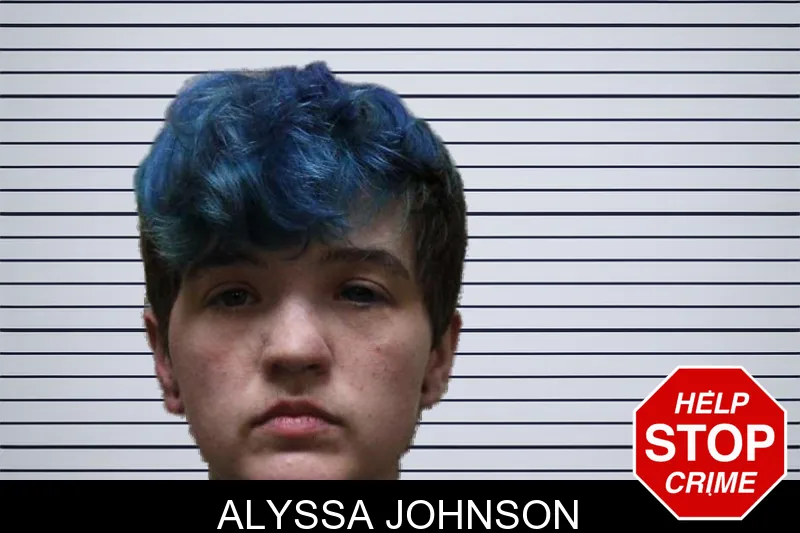 Alyssa Johnson mugshot