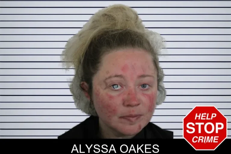 Alyssa Oakes mugshot β Floyd County , Georgia Alyssa Oakes