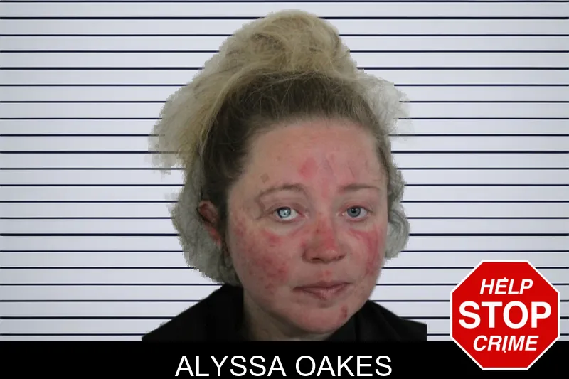 Alyssa Oakes mugshot