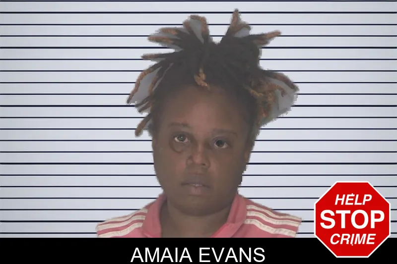 Amaia Evans mugshot