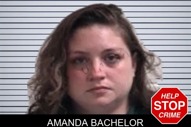 Amanda Bachelor