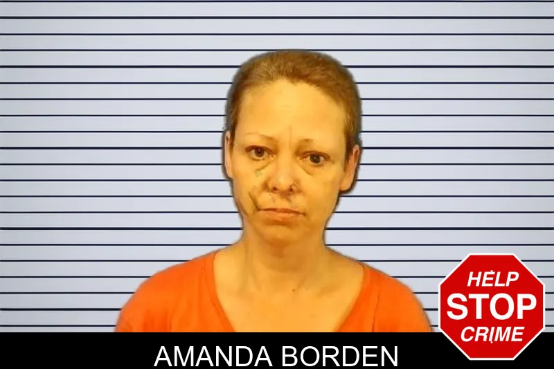 Amanda Borden mugshot