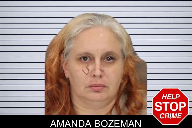 Amanda Bozeman mugshot