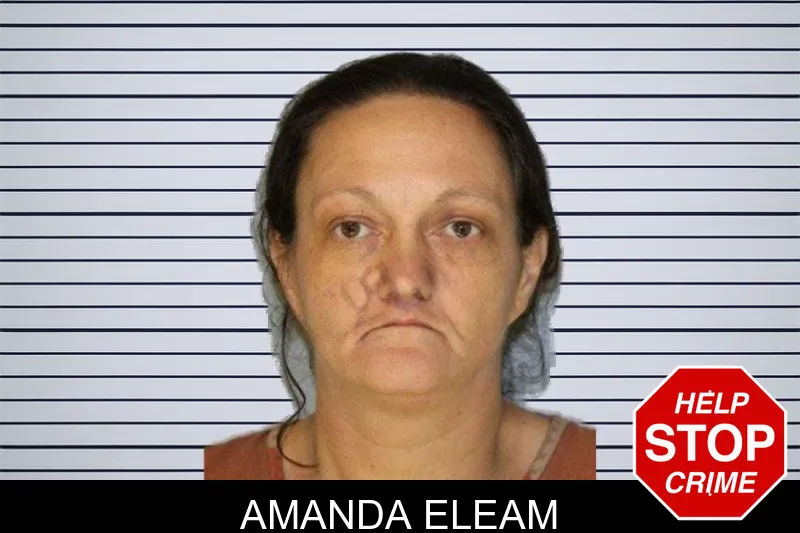 Amanda Eleam mugshot