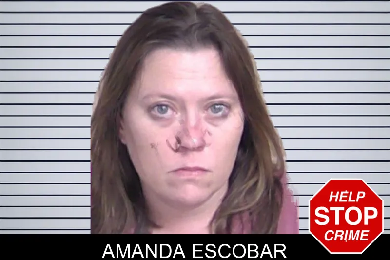 Amanda Escobar mugshot