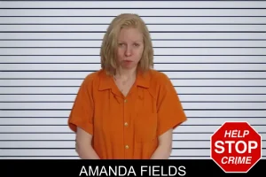 Amanda Fields mugshot