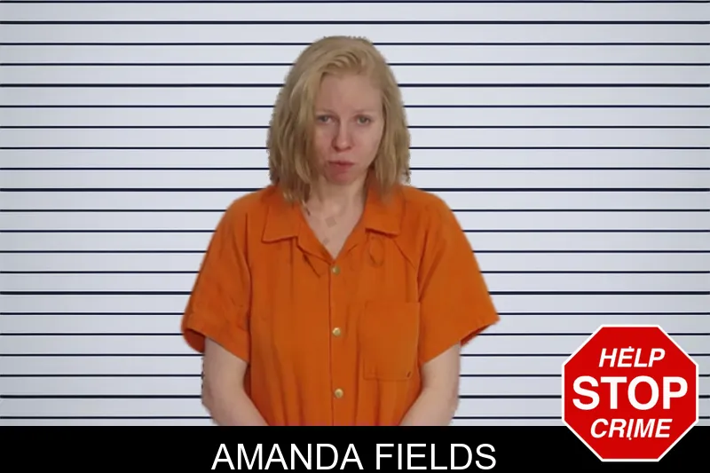 Amanda Fields mugshot