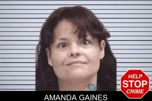 Amanda Gaines mugshot