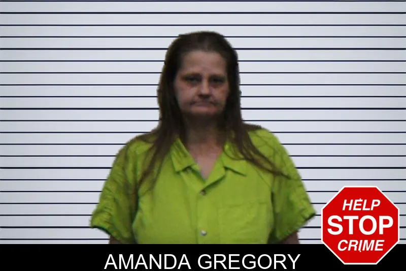 Amanda Gregory mugshot