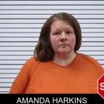 Amanda Harkins mugshot – Pickens County , Georgia Amanda Harkins mugshot