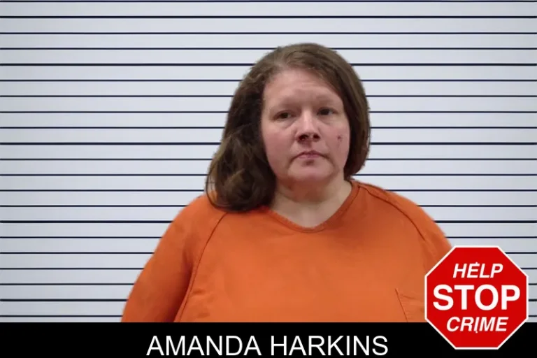Amanda Harkins mugshot – Pickens County , Georgia Amanda Harkins
