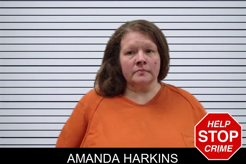 Amanda Harkins mugshot
