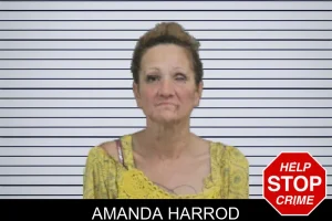 Amanda Harrod mugshot