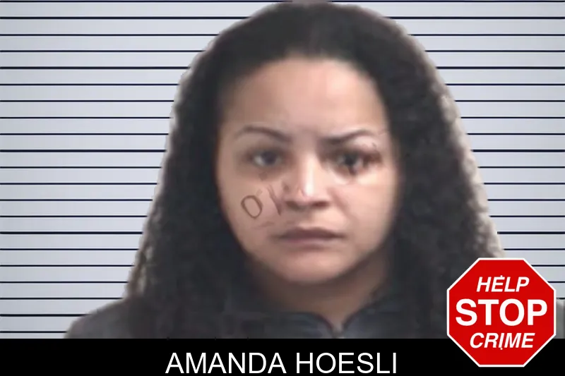 Amanda Hoesli mugshot