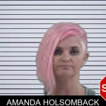 Amanda Holsomback mugshot