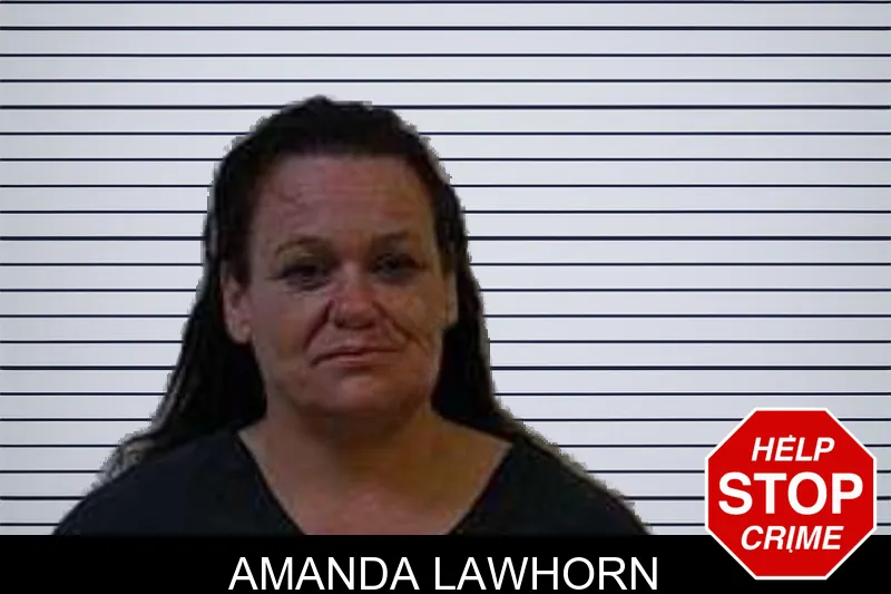 Amanda Lawhorn mugshot