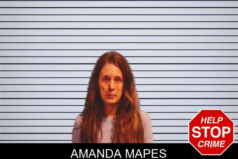 Amanda Mapes mugshot – Monroe County , Georgia Amanda Mapes