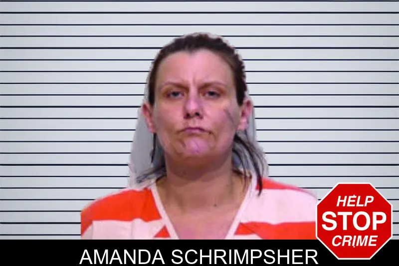 Amanda Schrimpsher mugshot