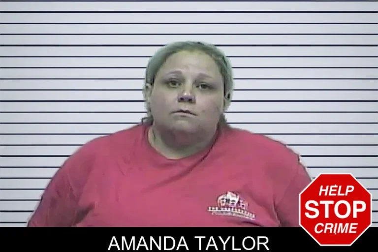 Amanda Taylor mugshot – Dawson County , Georgia Amanda Taylor