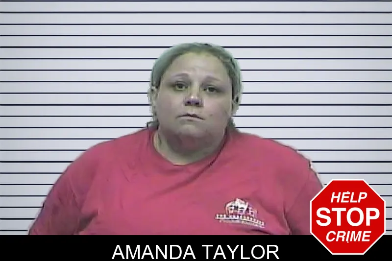 Amanda Taylor mugshot – Dawson County , Georgia Amanda Taylor mugshot