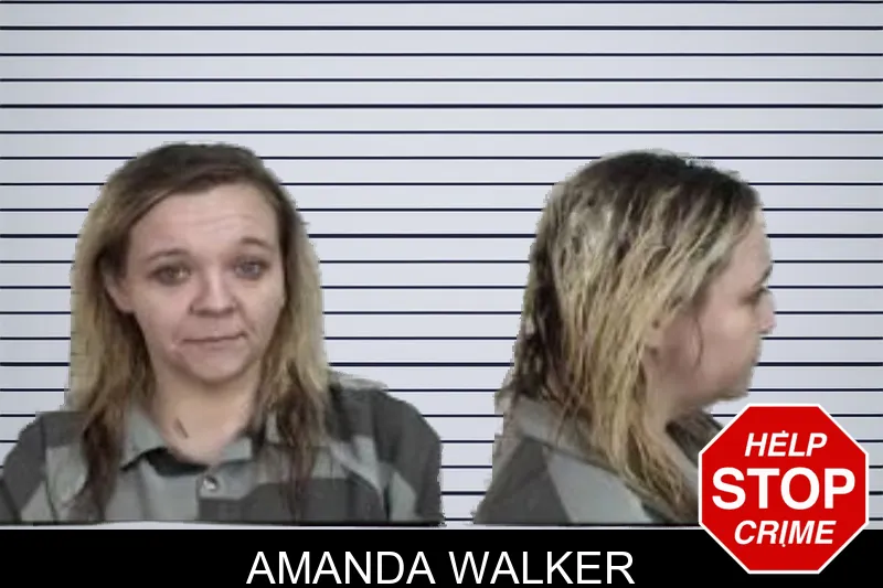 Amanda Walker mugshot