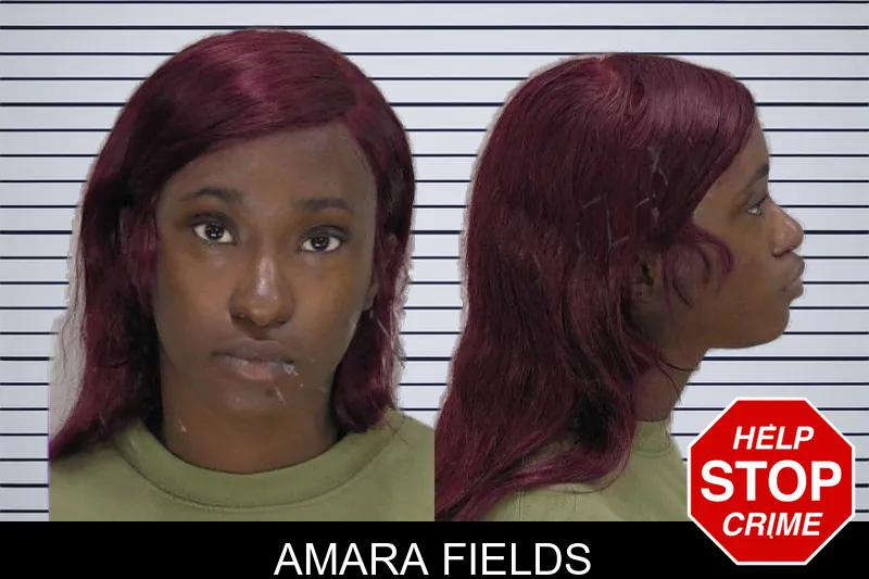 Amara Fields mugshot