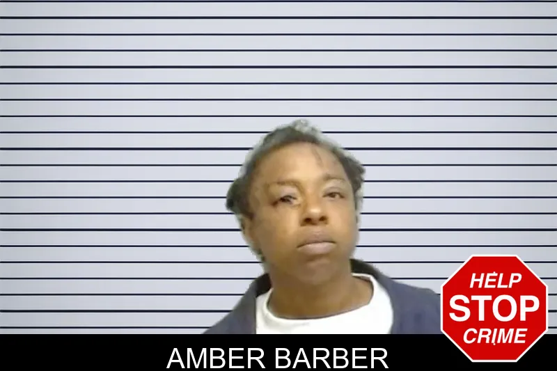 Amber Barber mugshot – Fulton County , Georgia Amber Barber mugshot