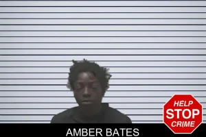 Amber Bates mugshot